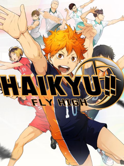 HAIKYU!! FLY HIGH